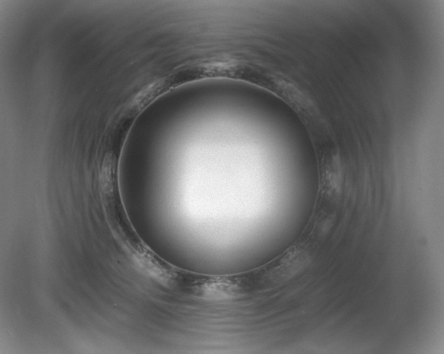 X0000081610468200701151410