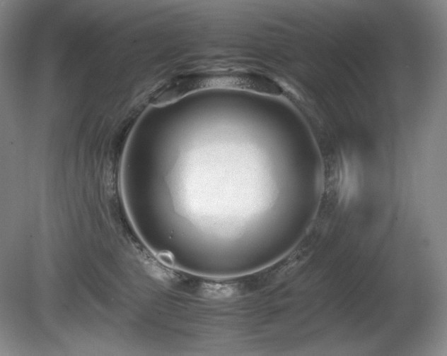 X0000081610469200701151410