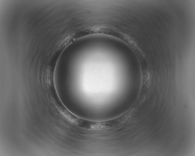 X0000081610470200701151410