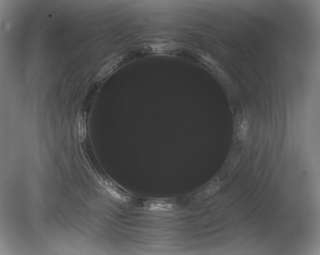 X0000081610471200701151410