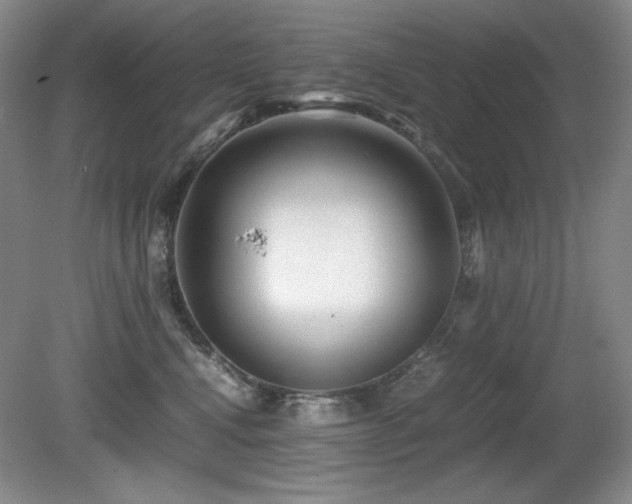 X0000081610472200701151410