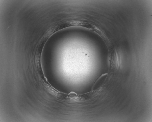 X0000081610473200701151410