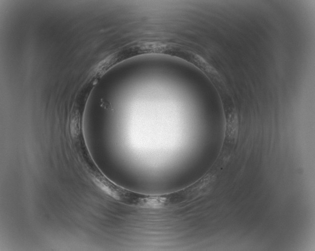 X0000081610474200701151410