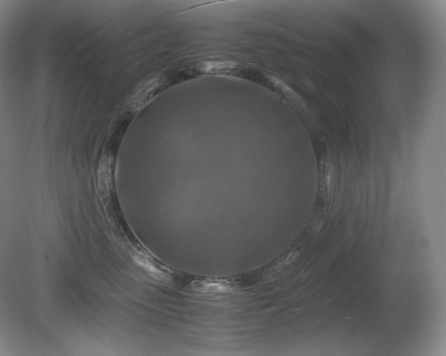 X0000081610475200701151410