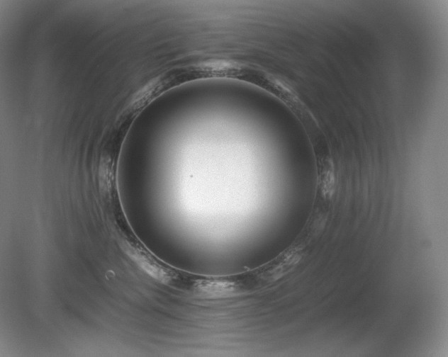 X0000081610476200701151410