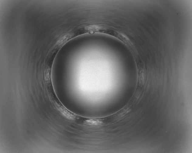 X0000081610477200701151410