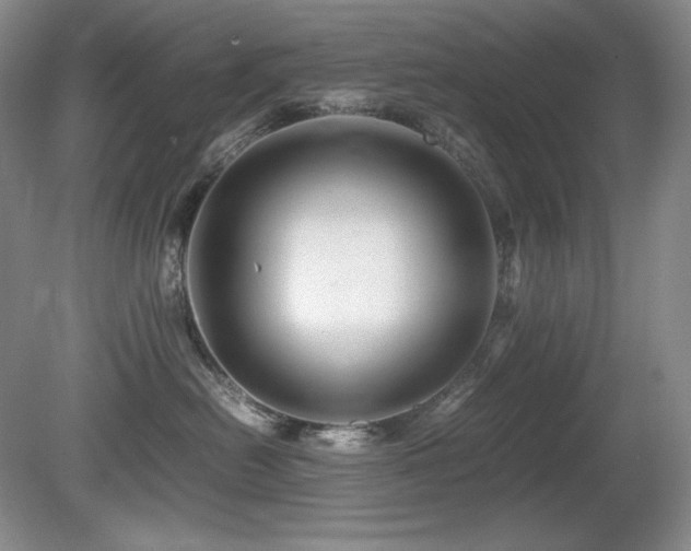 X0000081610478200701151410