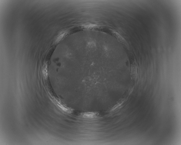 X0000081610479200701151410