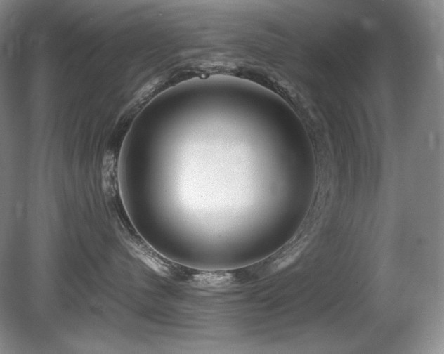 X0000081610480200701151410