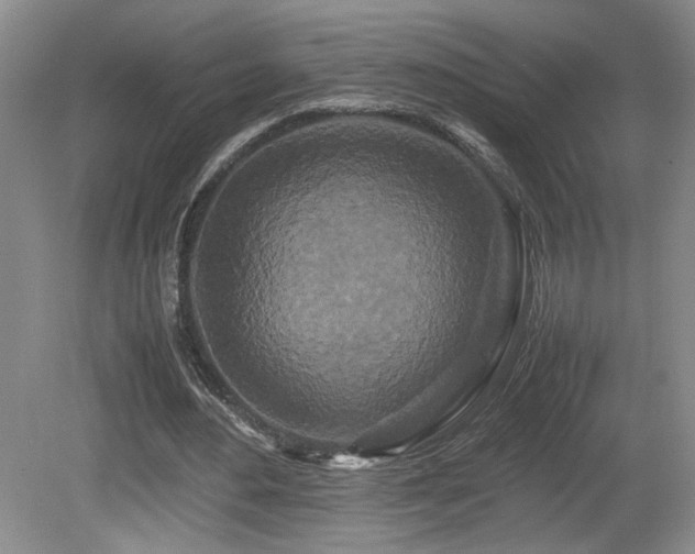 X0000081610484200701151409