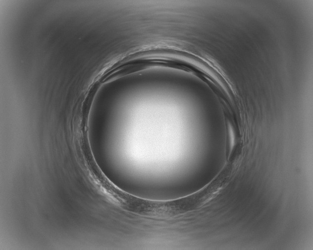 X0000081610485200701151409