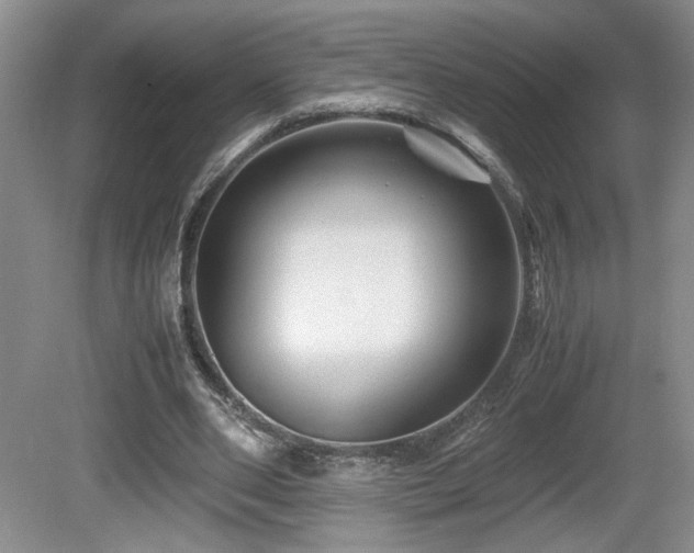 X0000081610486200701151409