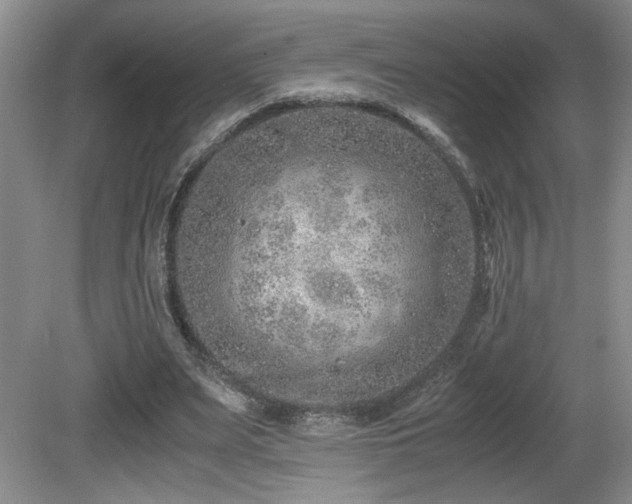 X0000081610487200701151409