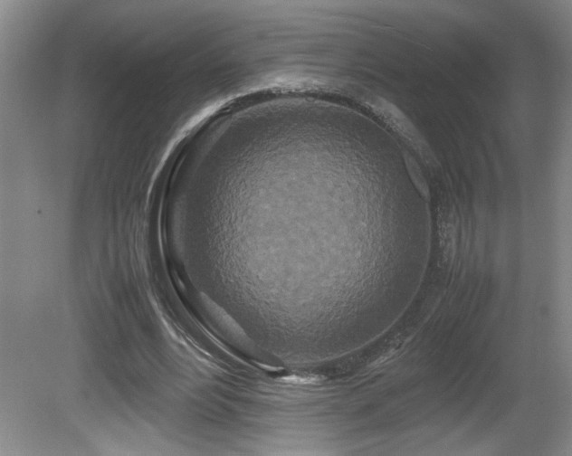 X0000081610488200701151409