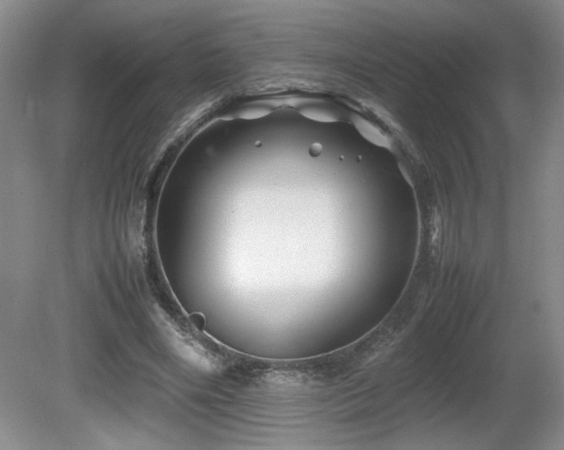 X0000081610490200701151409