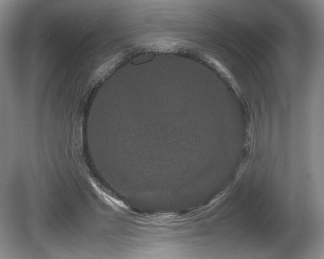 X0000081610493200701151409