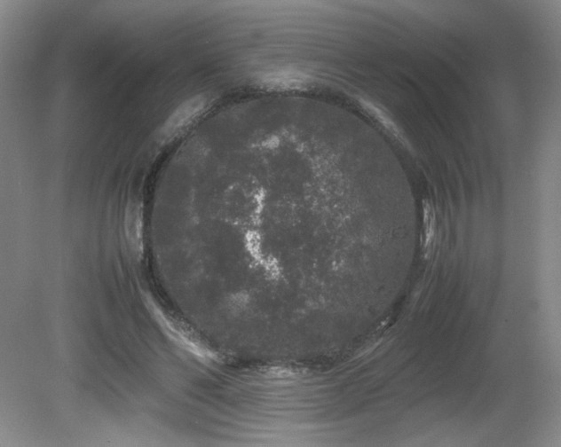 X0000081610494200701151409