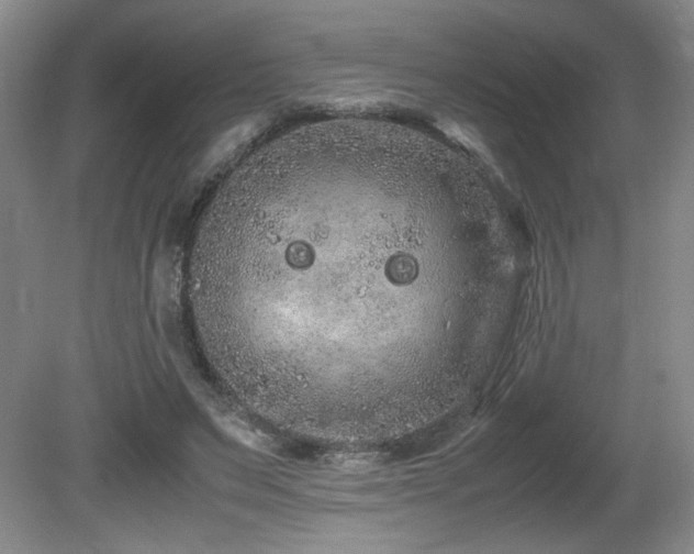 X0000081610495200701151409