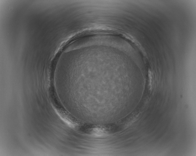 X0000081610496200701151409