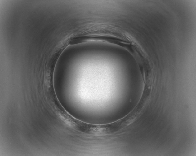 X0000081610497200701151409