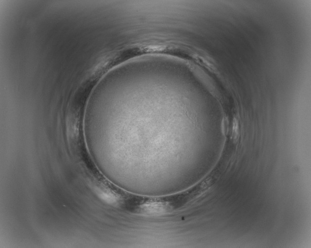 X0000081610499200701151409