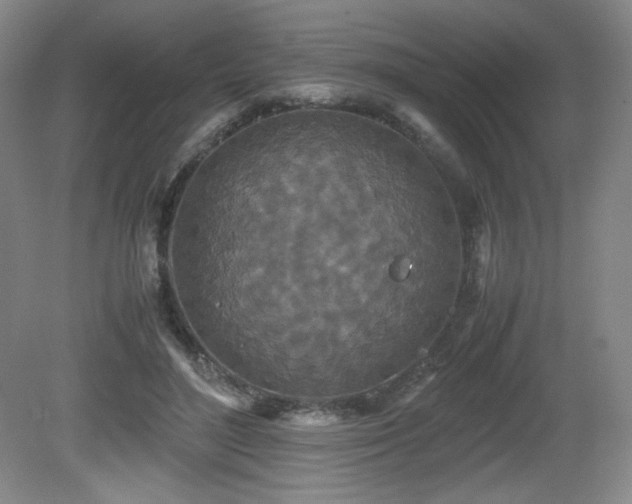 X0000081610500200701151409