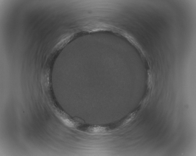 X0000081610501200701151409