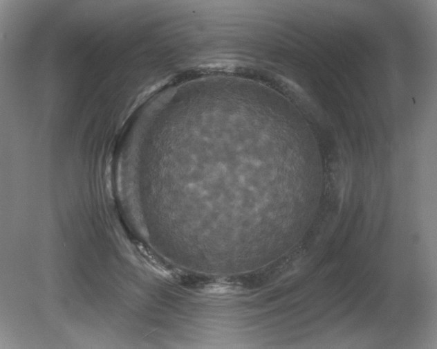 X0000081610504200701151409