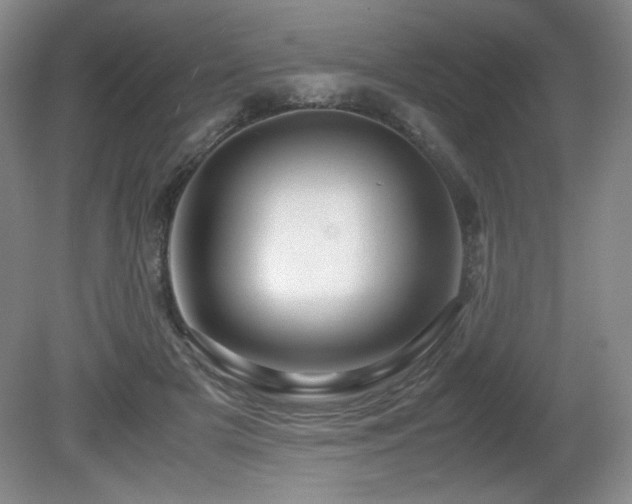 X0000081610505200701151409