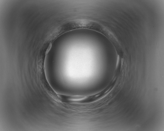 X0000081610509200701151409