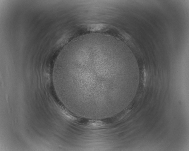 X0000081610510200701151409