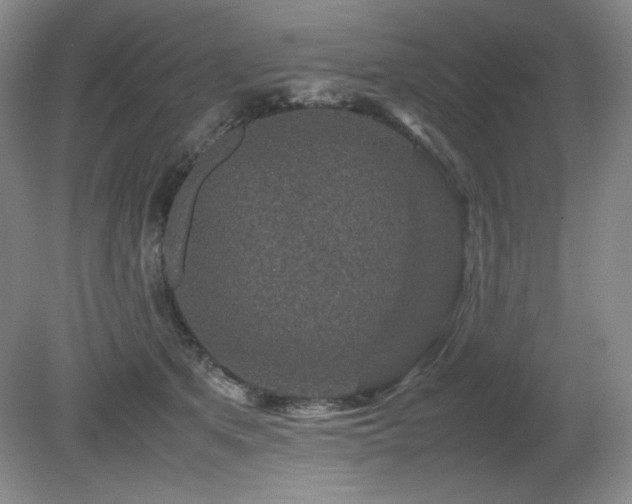 X0000081610513200701151409