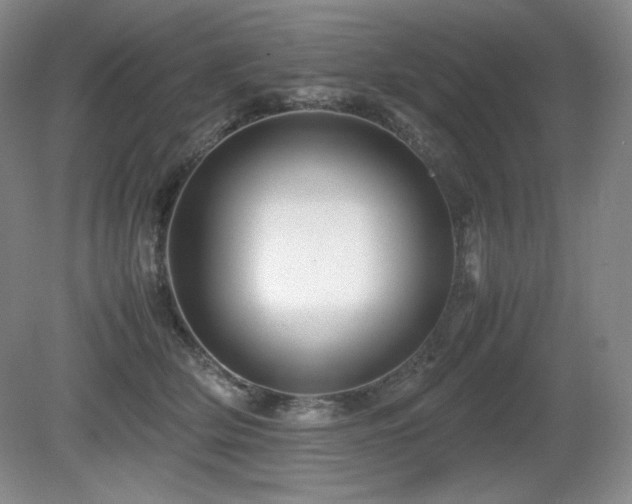 X0000081610514200701151409