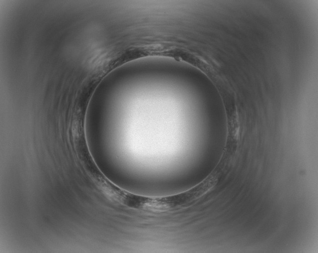 X0000081610515200701151409