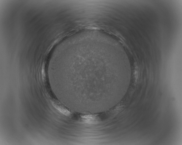 X0000081610516200701151409