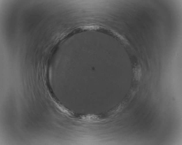 X0000081610517200701151409