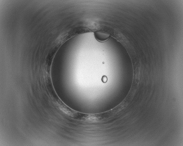 X0000081610518200701151409