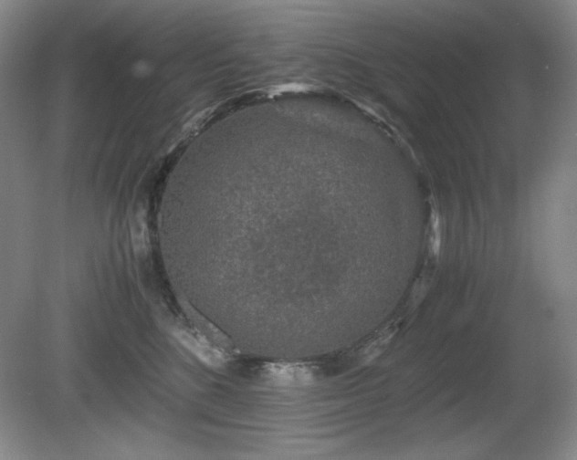 X0000081610520200701151408