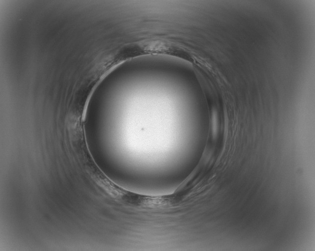 X0000081610521200701151408