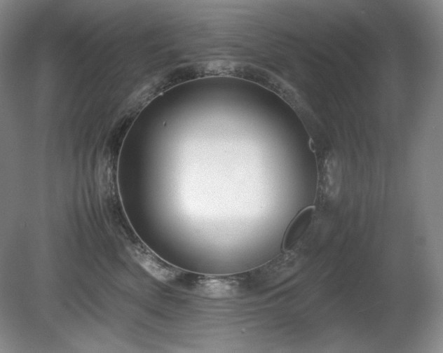 X0000081610522200701151408