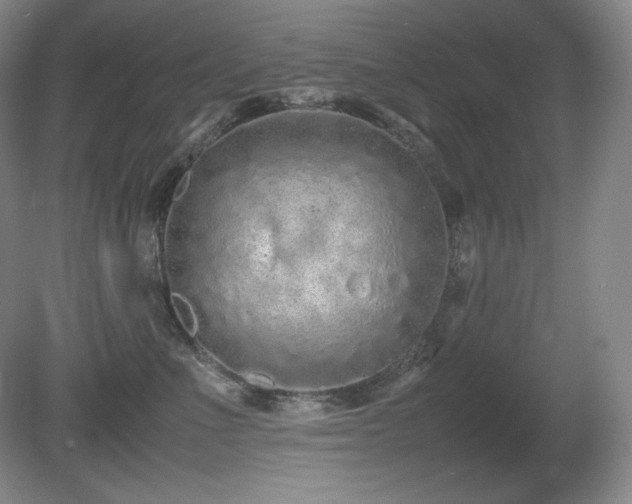 X0000081610523200701151408