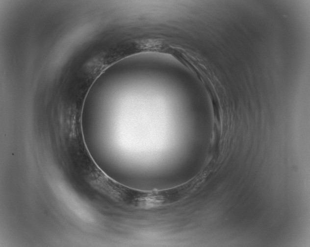 X0000081610525200701151408