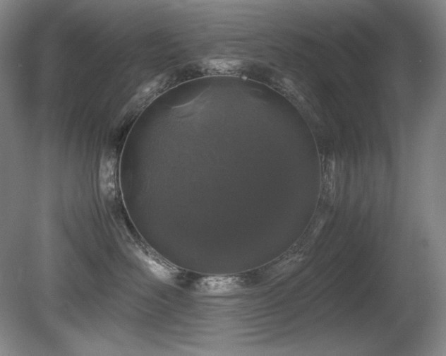 X0000081610526200701151408