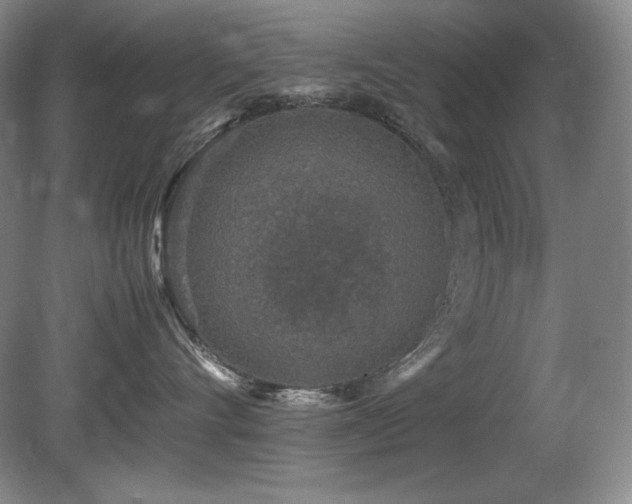 X0000081610528200701151408