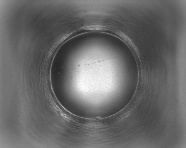 X0000081610529200701151408