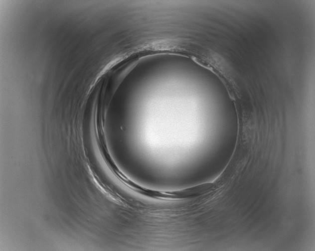 X0000081610530200701151408