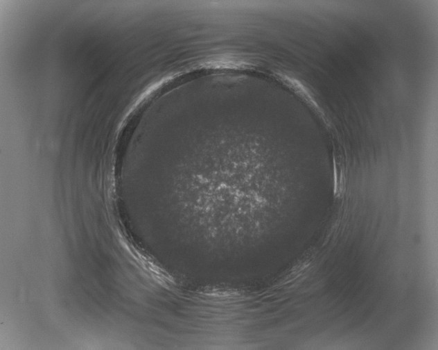 X0000081610531200701151408