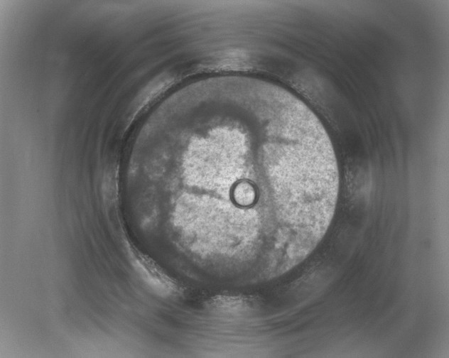 X0000081610534200701151408