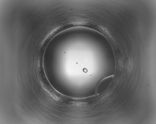 X0000081610539200701151408