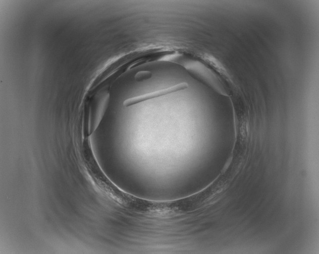 X0000081610540200701151408